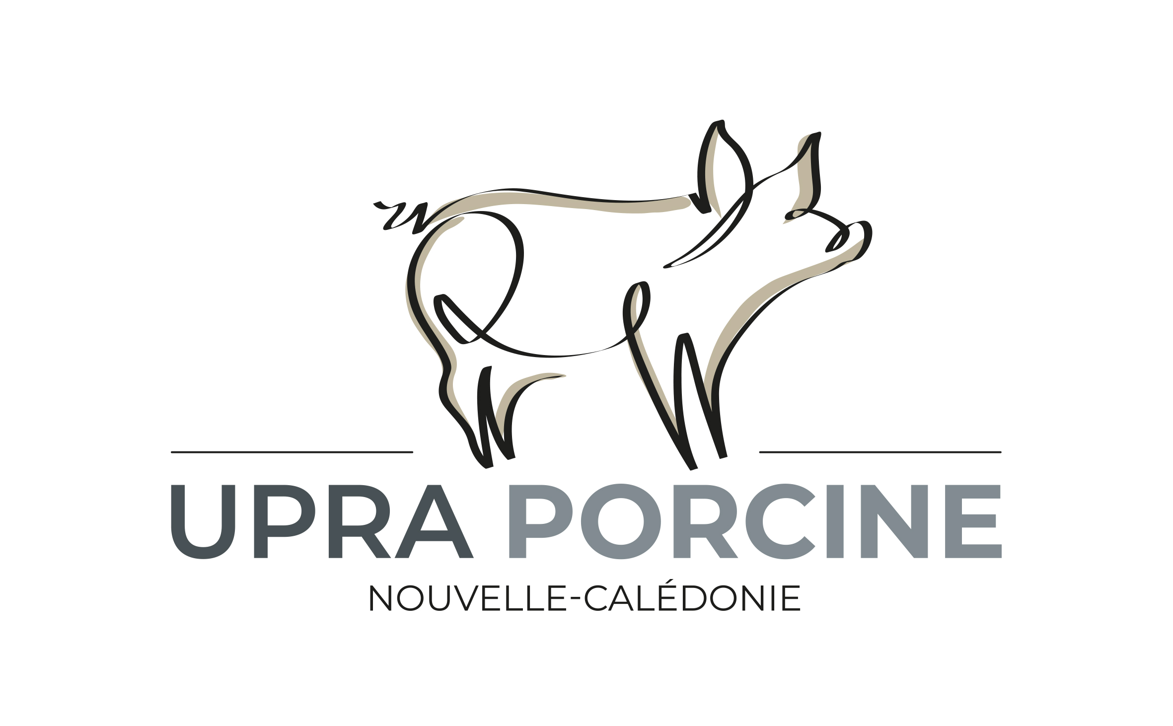 Logo Upra Porcine
