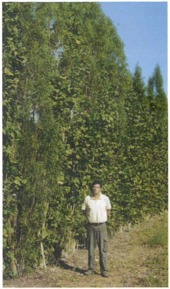 Photo 4 - Association Erythrine et Saule, âgés de 3 ans (F.Mademba-Sy, S.R.FP).