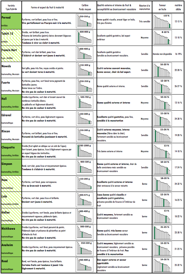 Comparatif varietal avocats : La caractérisation des fruits