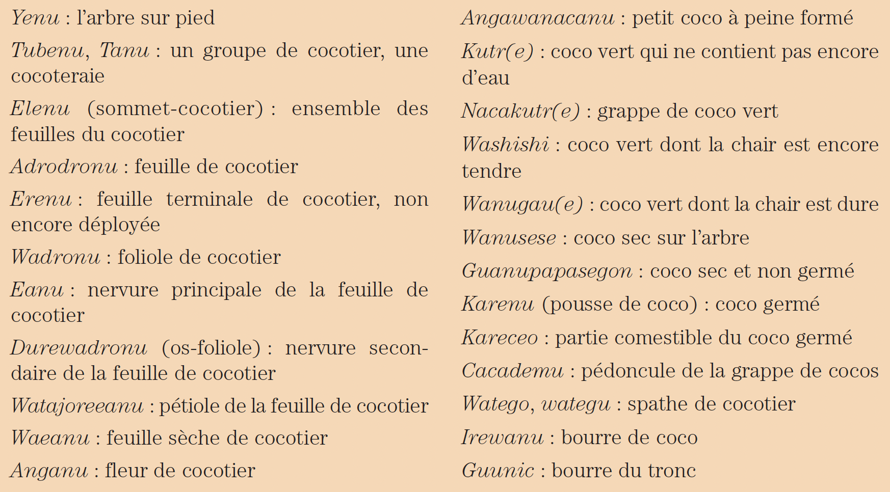 Le vocabulaire associé au cocotier en langue Nenegone (Maré) ©IRD, E. Hnawia