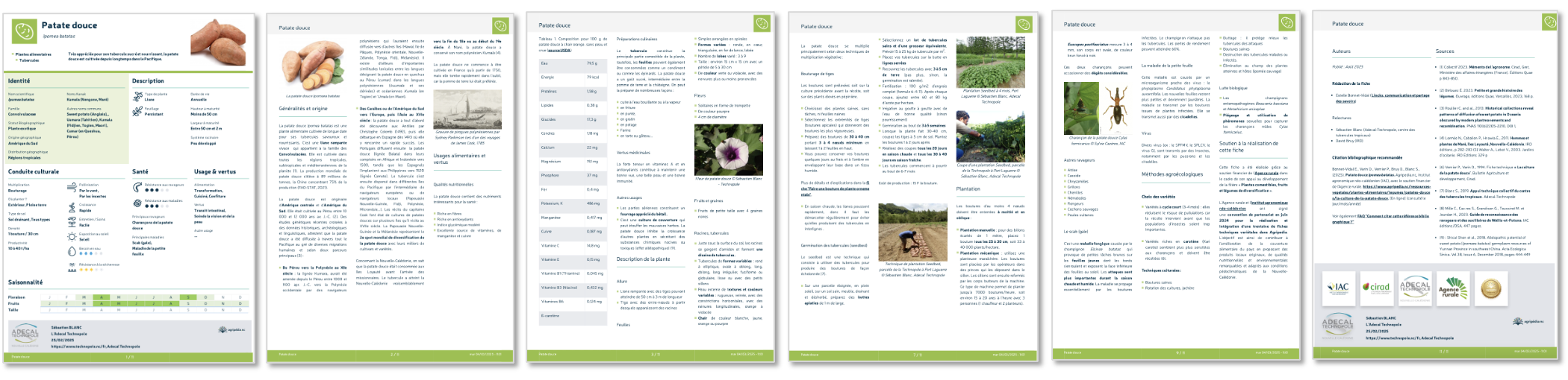 Exemple : PDF de la fiche patate douce Exemple : PDF de la fiche patate douce