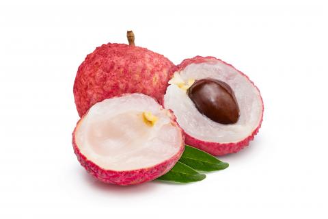 Litchi