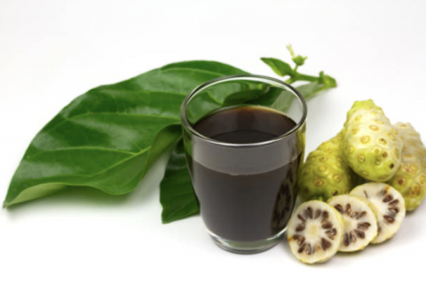 Morinda citrifolia (Noni)