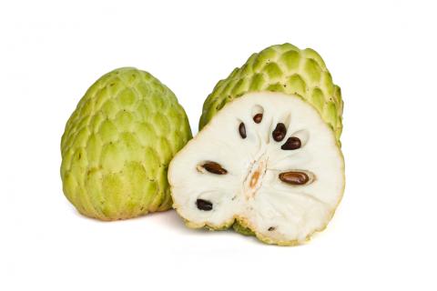 Atemoya