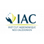 Logo IAC