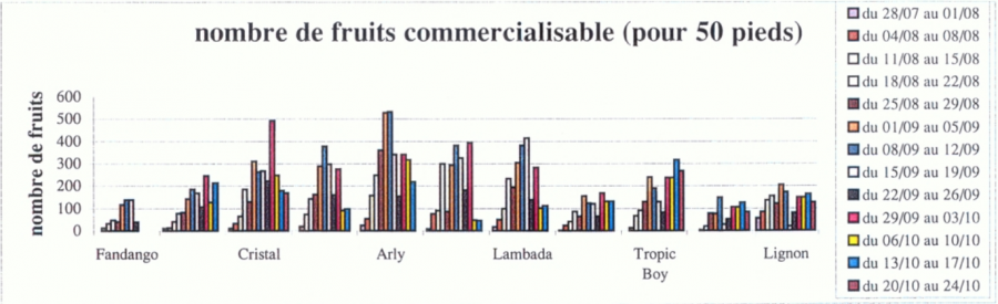 Tomate - Nombre de fruits commercialisable pour 50 pieds