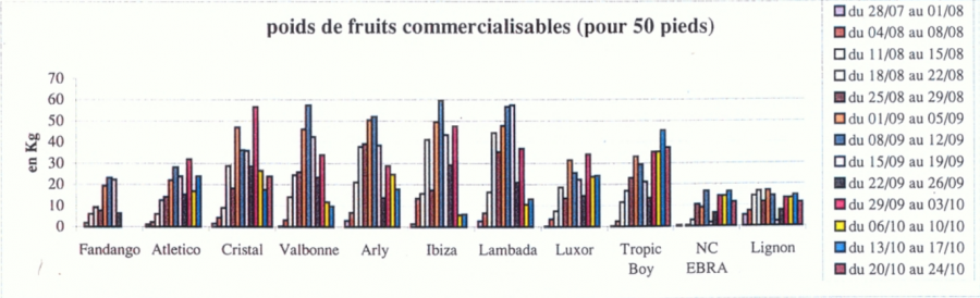 Tomate - Poids des fruits commercialisables pour 50 pieds