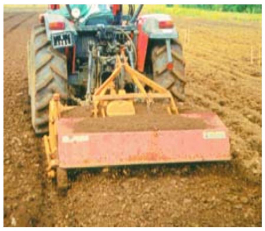 Oignon - Cultivateur rotatif