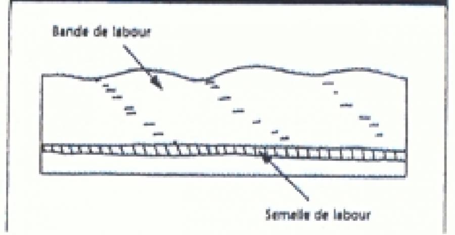 Profil cultural après Labour