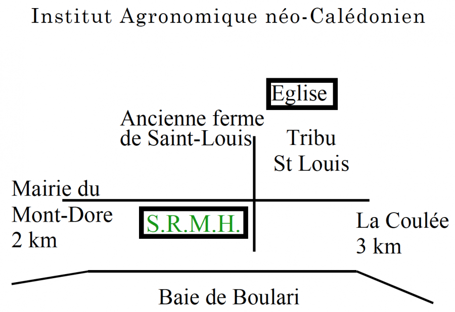 schéma