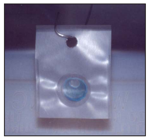 Détail d'une capsule de phéromone ©IAC-S. Cazères
