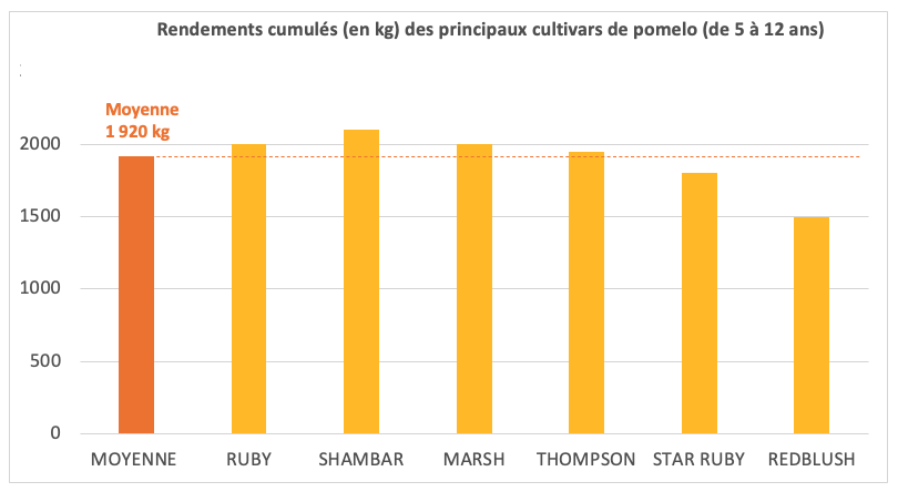 Rendements des six principaux cultivars de pomelos ©IAC