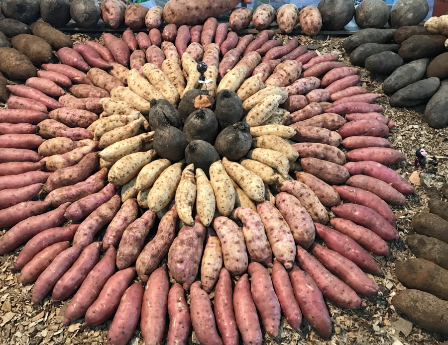 Étal de patates douces à la foire de Bourail, Nouvelle-Calédonie (2018) ©Lincks