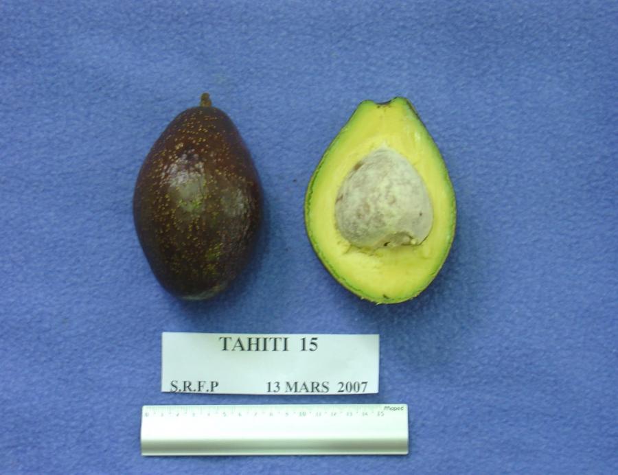 Avocat précoce, variété Tahiti 15, fruit entier et en coupe ©IAC - B. Naré