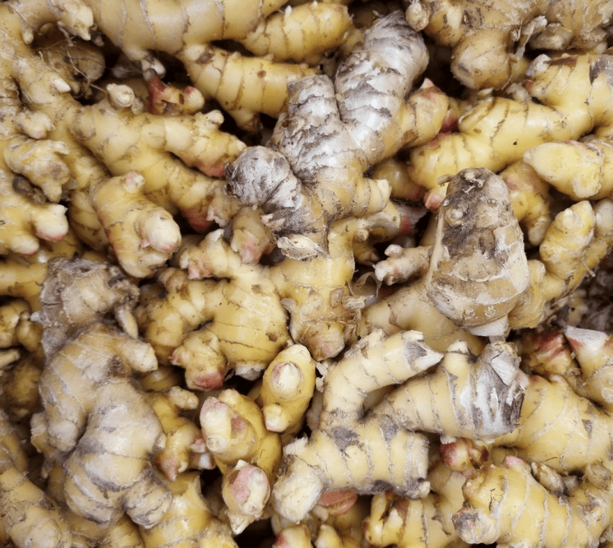 Rhizomes de gingembre, récolte locale (source : Facebook Veggies NC)