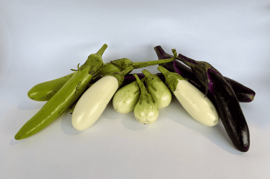 Diversité de variétés d'aubergines, marché de Ducos (Nouméa), mai 2026 © E. Bonnet-Vidal - Agripédia NC