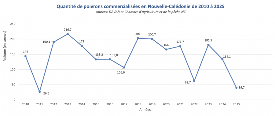Quantité de poivrons commercialisées en Nouvelle-Calédonie de 2010 à 2025 (source : DAVAR, 2026) © Agripédia NC
