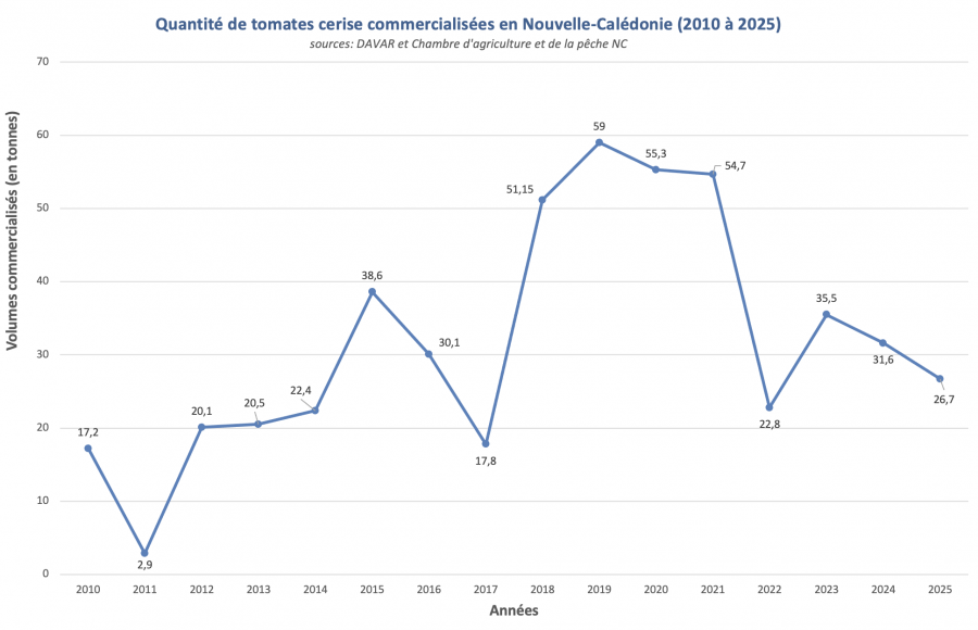 Graphique montrant les quantités de tomates cerises commercialisées entre 2010 et 2025 © Agripédia NC