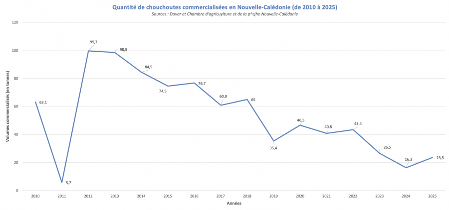 Graphique. Volumes de chouchoutes commercialisées en Nouvelle-Calédonie de 2010 à 2025 (source DAVAR 2026)
